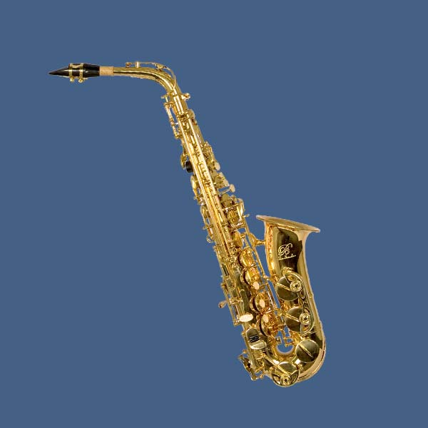 Saxofoonles - Groningen Haren - Muziekles Sax - Saxophone les