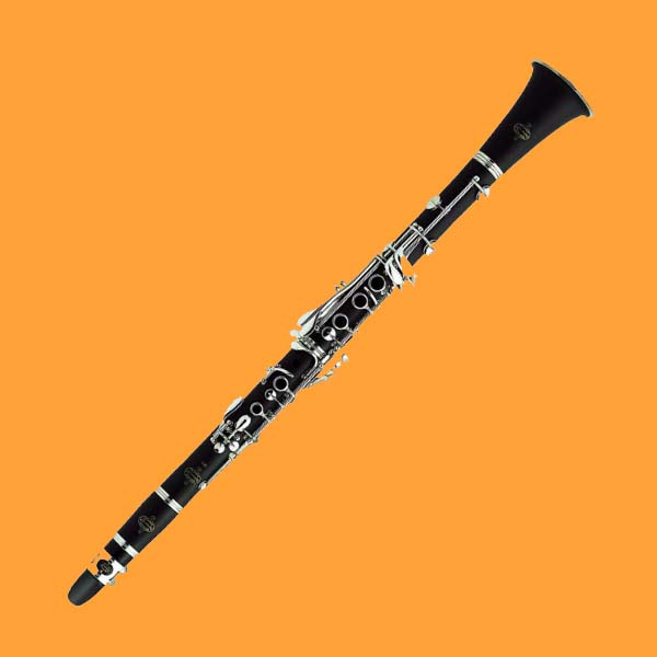 MuziekKasteel - Klarinetles - Groningen - Muziekles klarinet